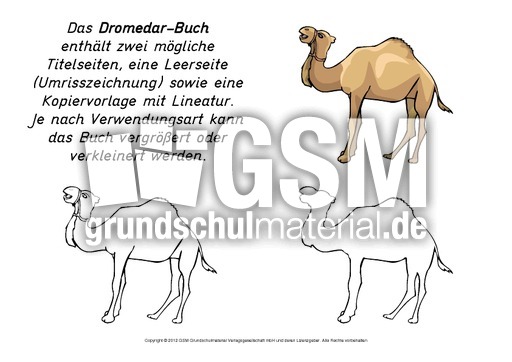 Mini-Buch-Dromedar-3.pdf